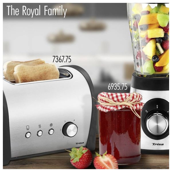  خلاط تريسا - 69357512 - واط 800 - سلفر 