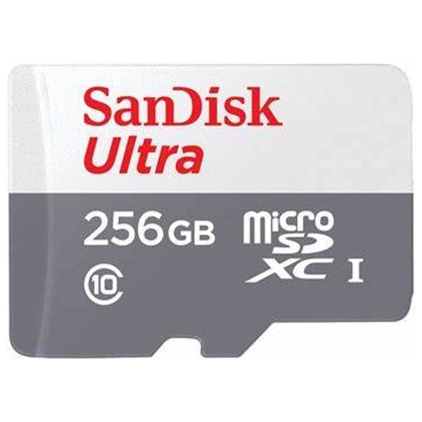  SanDisk 619659196516 - 256GB - SD Card 