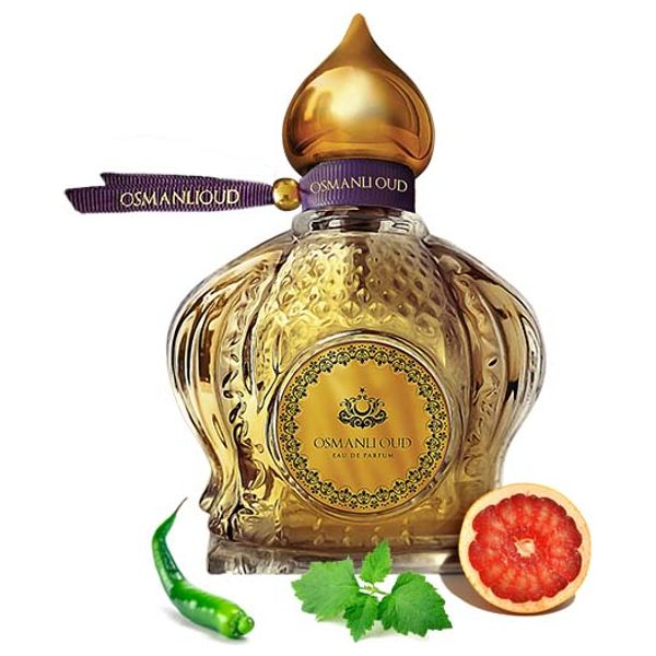  Dogan Bey by Osmanli Oud for Men - Eau de Parfum, 65ml 