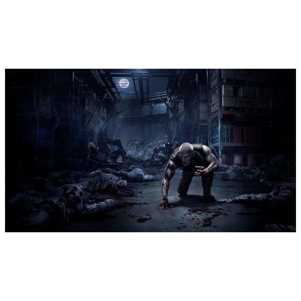 PS5 - WEREWOLF 