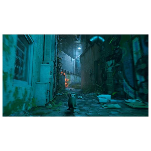  PS5 - STRAY 