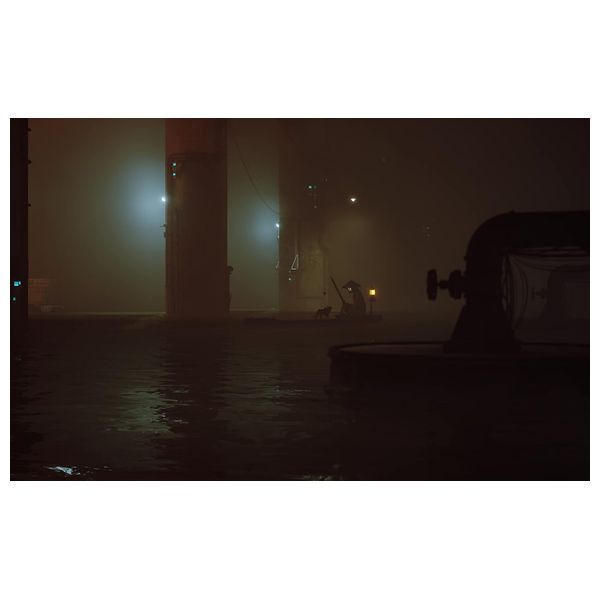 PS4 - Stray 