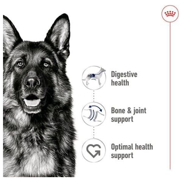  Royal Canin Maxi Adult Dog Food - 415 g 