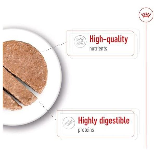  Royal Canin Maxi Adult Dog Food - 415 g 