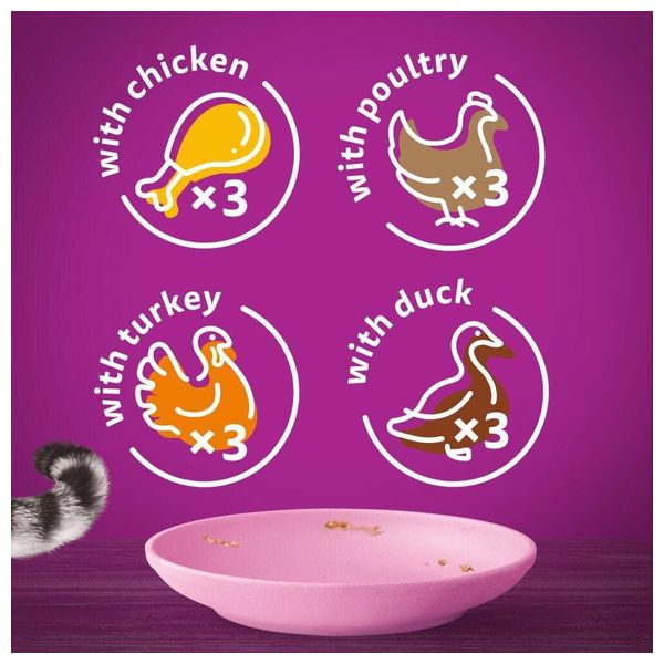 Whiskas Kitten Poultry Feast in Jelly Cat Food - 12 Pieces