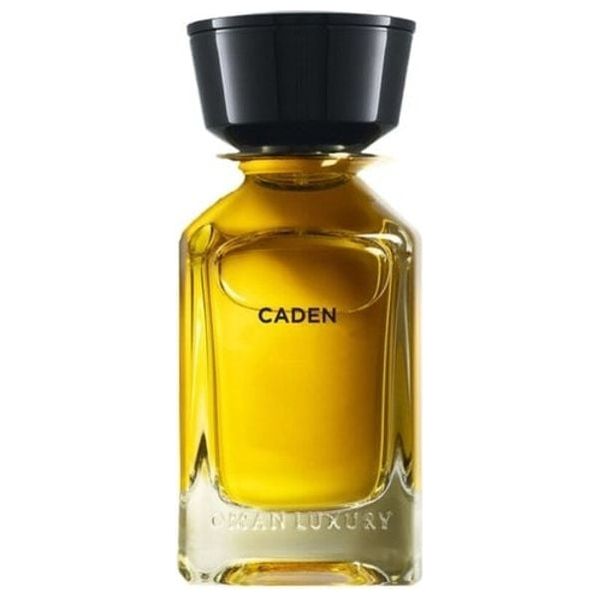 Caden by Oman Luxury for Unisex - Eau de Parfum, 100 ml