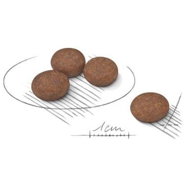  رويال كانين طعام لجهاز هضمي صغير - 3 كيلو غرام 