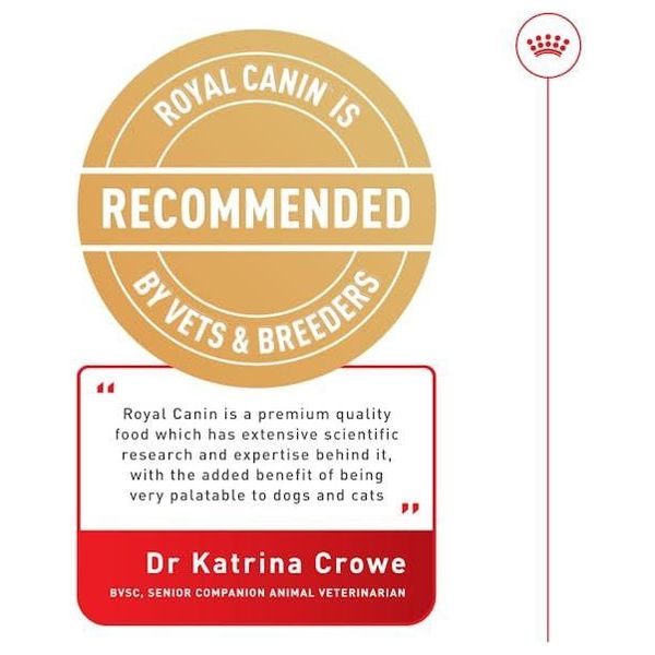  رويال كانين طعام لجهاز هضمي صغير - 3 كيلو غرام 