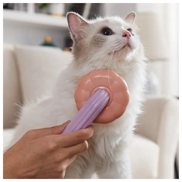 Pumpkin Cat Grooming Brush