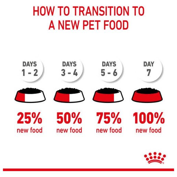  رويال كانين طعام للجراء صغيرة الحجم - 85 غم 