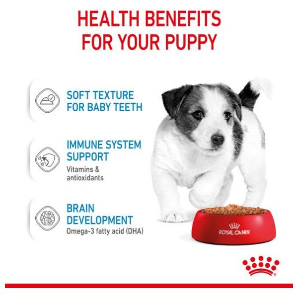  Royal Canin Mini Puppy Dog Food - 85 g 