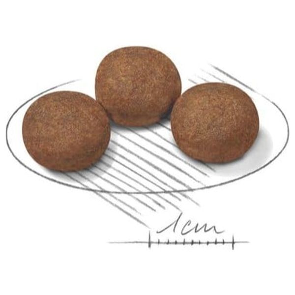  رويال كانين طعام الكلاب میدیم - 4 كغم 