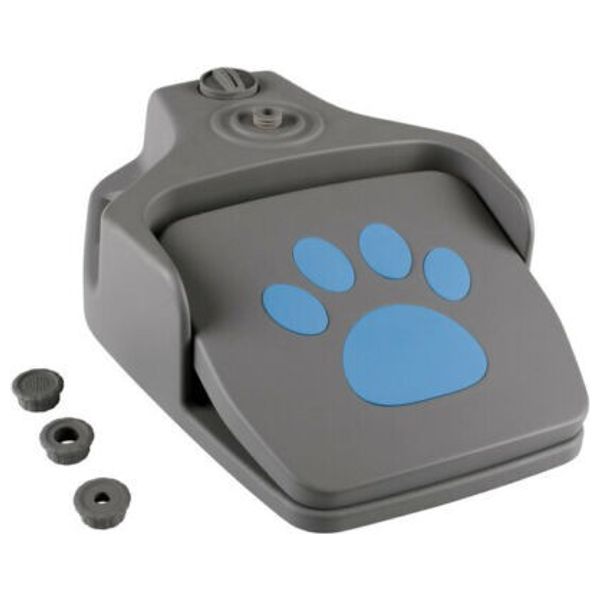 Dog Sprinkler Toy - Gray