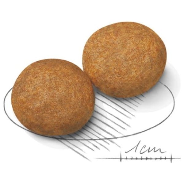  رويال كانين طعام للكلاب البالغة میدیم - 4 كغم 