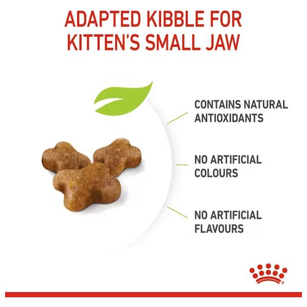  Royal Canin Kitten Cat Food - 2kg 