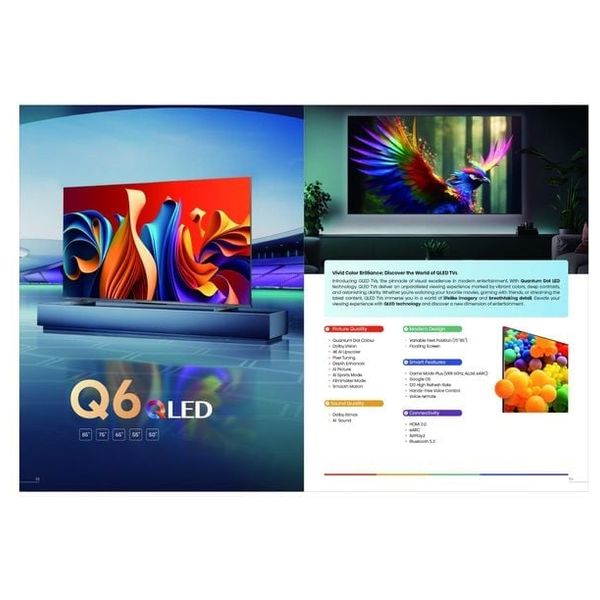  شاشة هايسنس 65 -انج فئة 65Q6GN - سمارت - 4K - 60 هيرتز + غلاية هايسنس - سعة 1.7 لتر - فلتر قابل للإزالة - H17KSSS2 - سلفر 