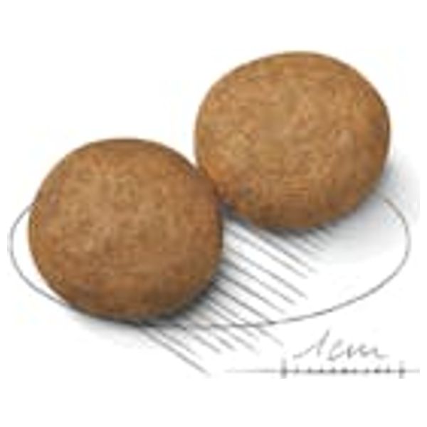  رويال كانين طعام كلاب بالغة ميديم - 18 كيلو غرام 