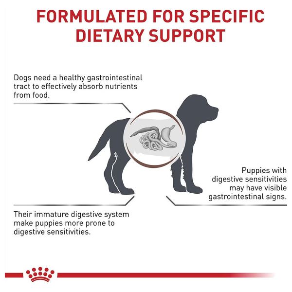  Royal Canin Gastrointestinal Puppy Dog Food - 1 kg 