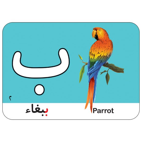  Dar Al-Buraq Alphabet Story Cards - Educational Flash Cards 