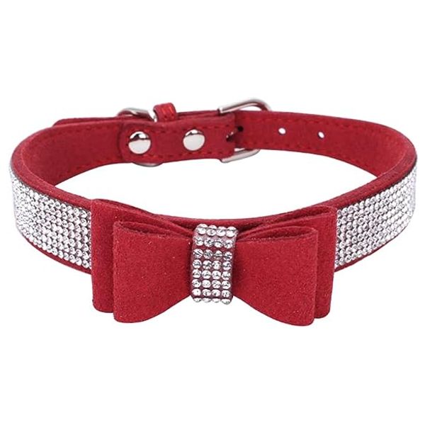 Pet Collar - XS 