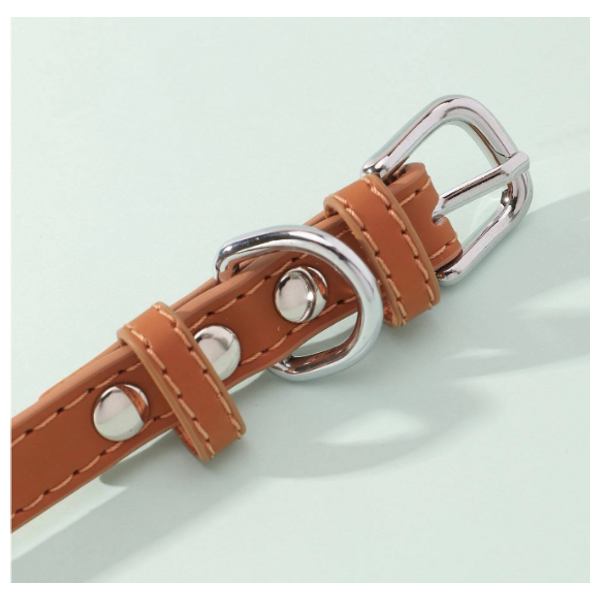 Pet Collar - S