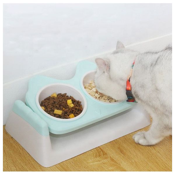  Dual Bowl For cats - Mint 