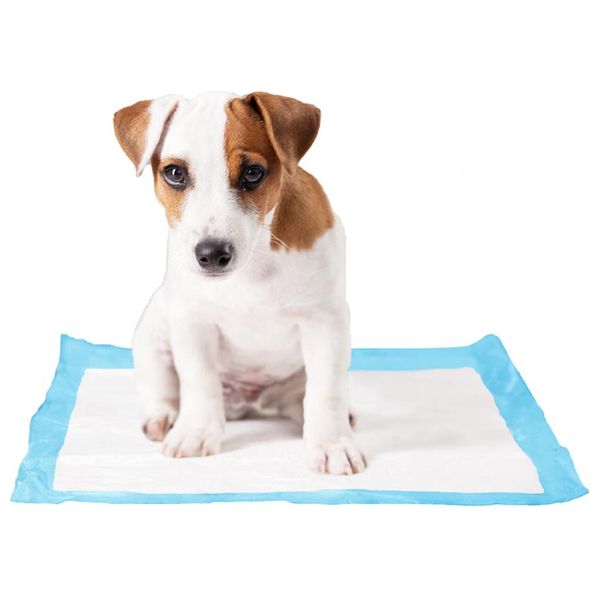 Duvo Pet P-Pad - 7 Pieces
