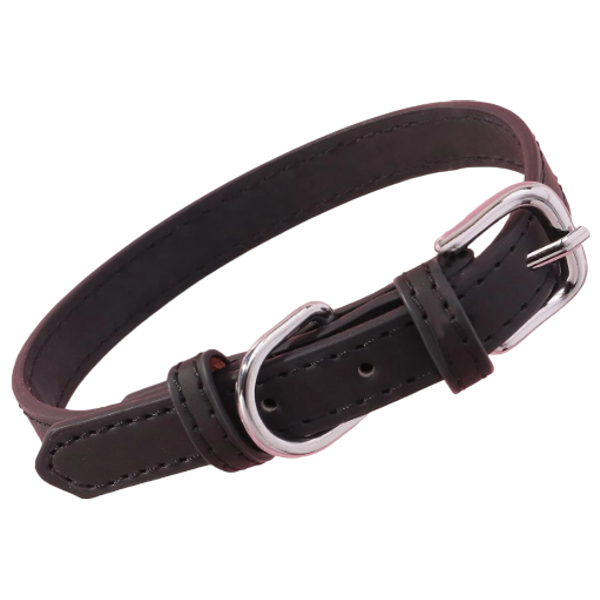  Pet Collar - M 