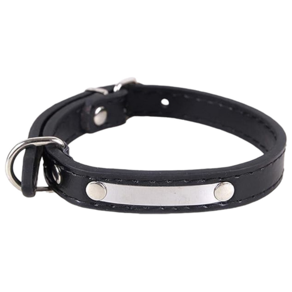 Pet Collar - M