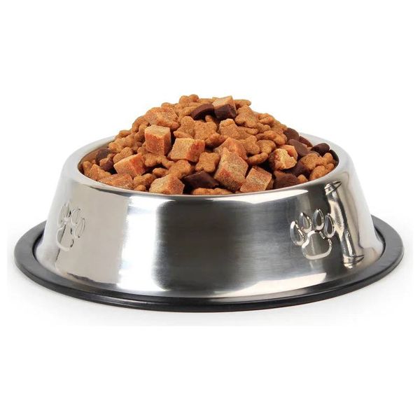  Stainless Steel Dog Food Bowl Set - 22cm 