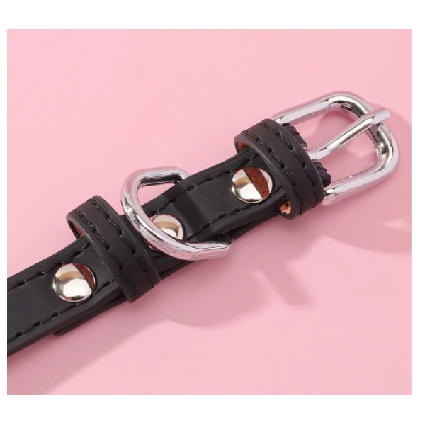  Pet Collar - S 