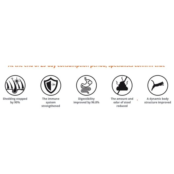  Felicia Derma Hypoallergenic Salmon Cat Food - 2kg 