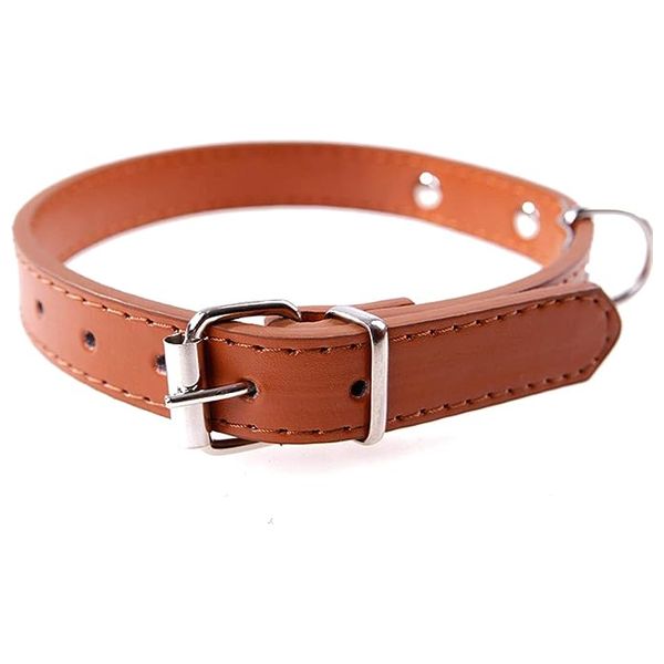 Pet Collar - M