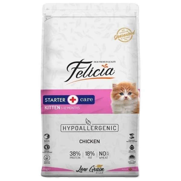  Felicia Kitten Cat Meal Set - 6 Pieces 