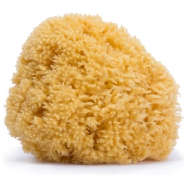  Suavinex Medium Natural Sponge - Sponge - Yellow 