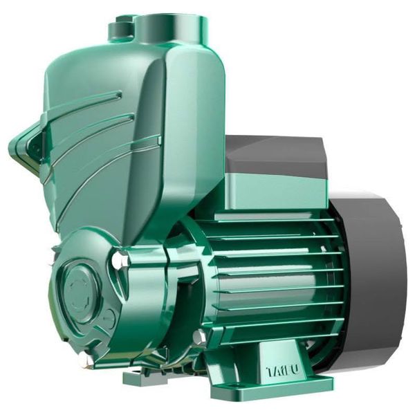  TAIFU TW65A - Water Pump 1HP - Green 