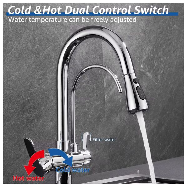 Lazord Dual-spout kitchen Faucet with pull-out sprayer - Nickel Copper
