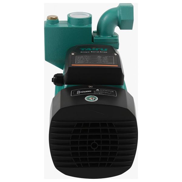  TAIFU TW45A - Water Pump 0.75HP - Green 