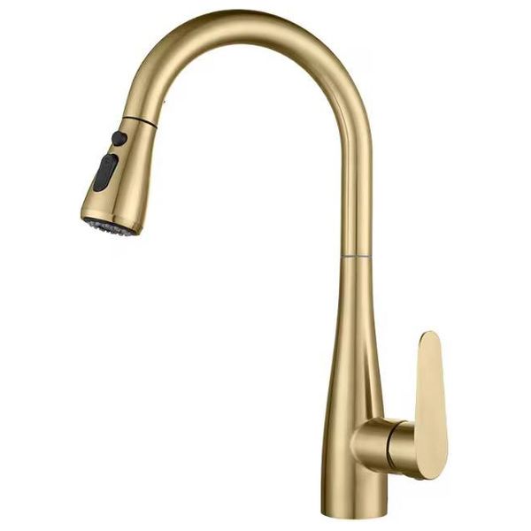 Lazord Kitchen Sink Mixer with Pull-Down Spout - Gold