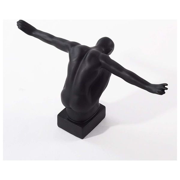  صدف تمثال غوص تجريدي - HT2740 - اسود 