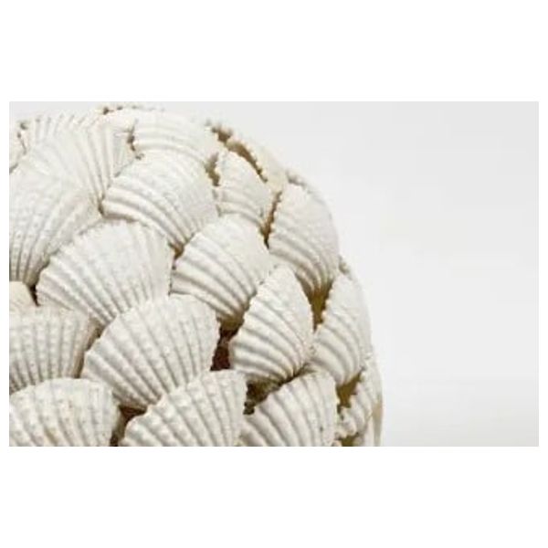  صدف مزهرية مطفية بنقشة صدفة بحرية - SY00B 