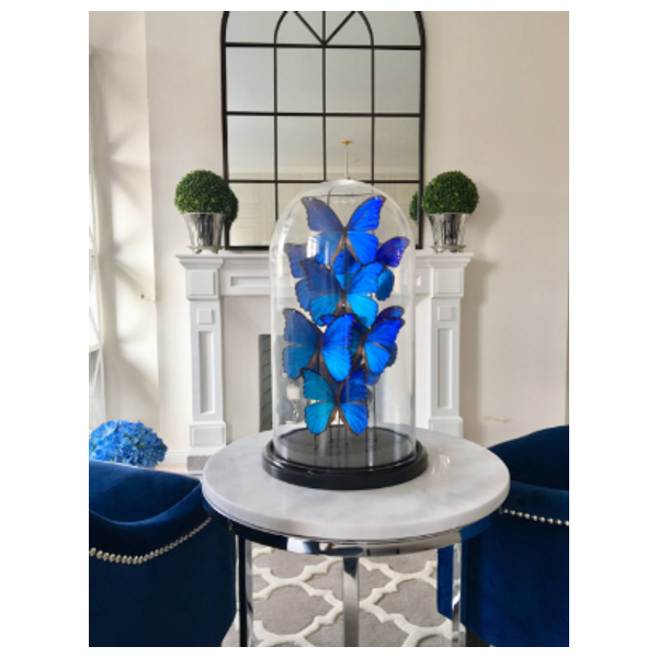 SADAF Curated Blue Butterfly Display - F79 - Blue 