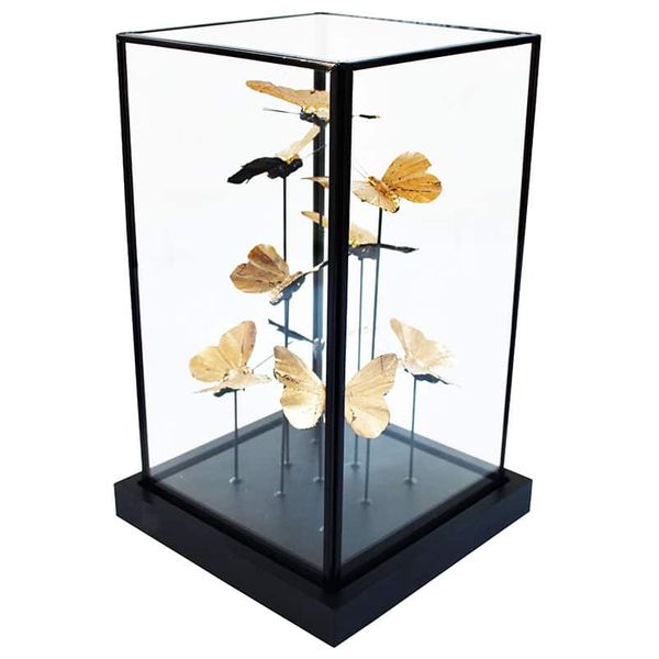  SADAF Glass Display Case with Butterfly Sculptures - YF163 - Gold 