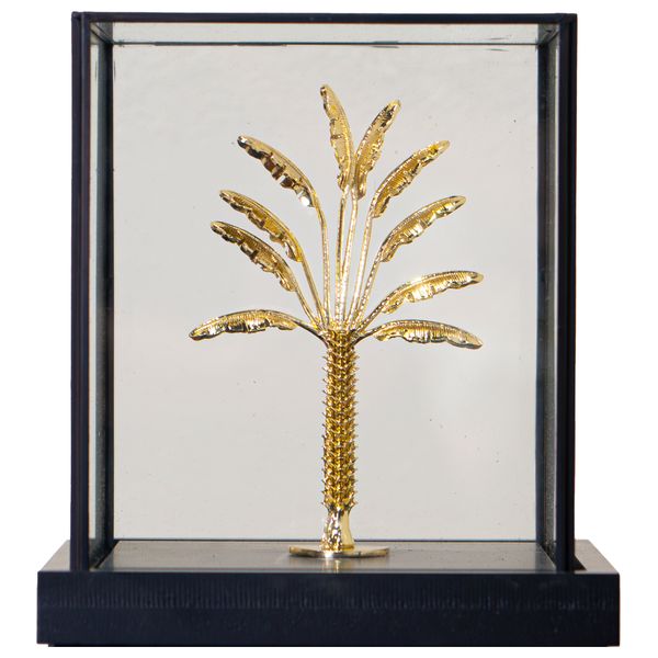  صدف منحوتة شجرة نخيل صغيرة في علبة عرض زجاجية سوداء - J18 