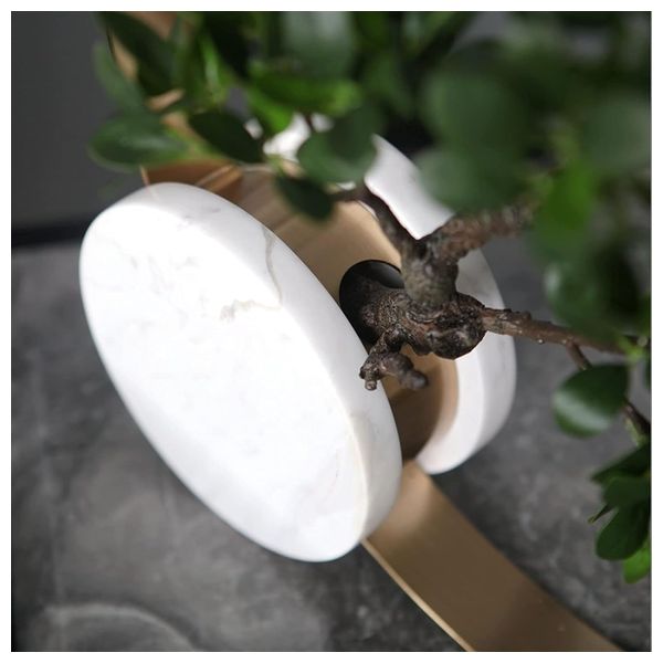  SADAF Circular Wall Planter - T59 