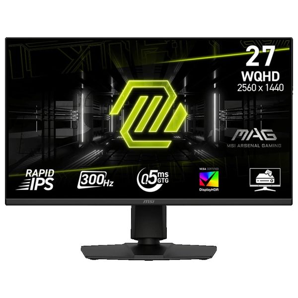 LG 27-Inch 24GS50F-B - Series - Flat Computer Monitor - 300Hz - 0.5ms Response Time - Rapid IPS QHD