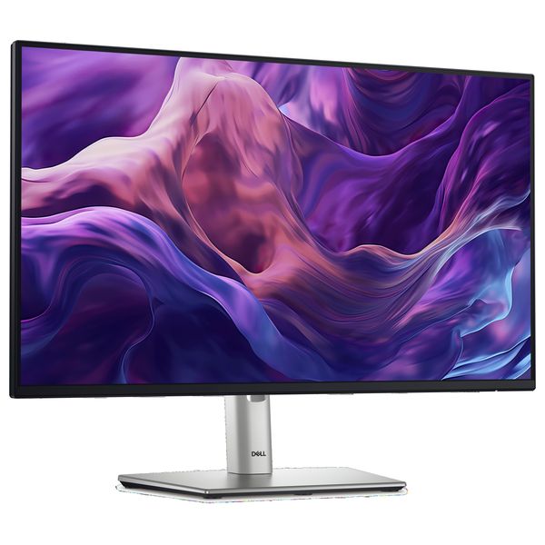  Monitor Dell P2425H - 24 inch - 100Hz - 5ms Response Time - FHD - Silver 