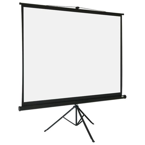 Ari Gaming Projector Screen with Stand - 3m x 2.5m - 150-inch Size - Black and White Backlight - Matte White Surface