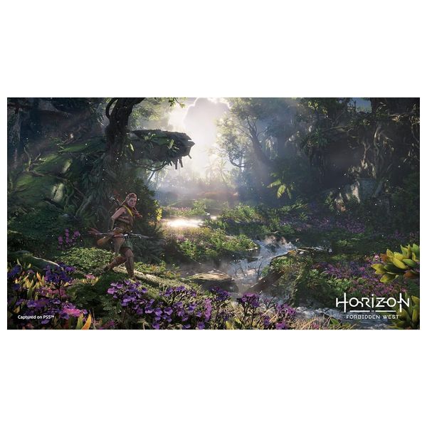لعبة بلايستيشن 4 سوني - هورايزون فوربدن ويست