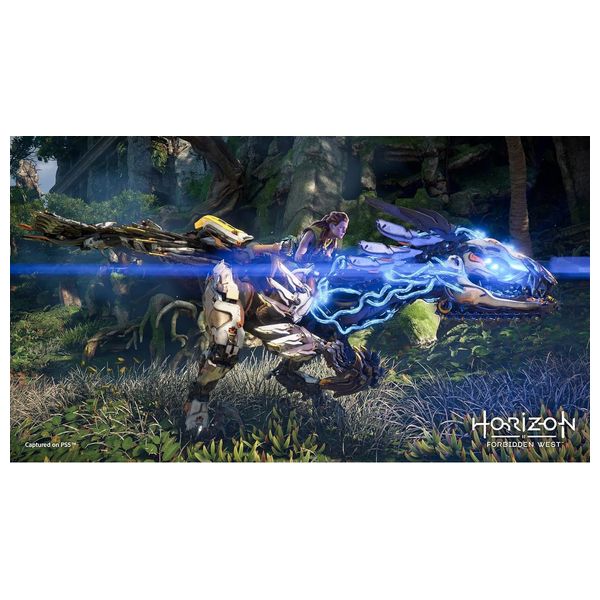 لعبة بلايستيشن 4 سوني - هورايزون فوربدن ويست